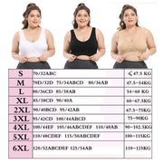 Big Size Seamless Sports Bra - Wire-Free Push Up Padded