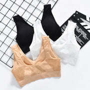 Big Size Seamless Sports Bra - Wire-Free Push Up Padded