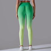 Ombre Seamless High Waist Leggings - Nylon Yoga Pants