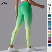 Ombre Seamless High Waist Leggings - Nylon Yoga Pants